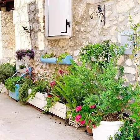 Dante Domus Aurea Milna (Brac)