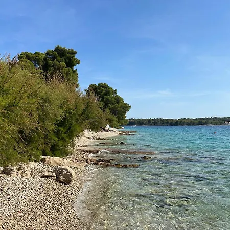 Dante Domus Aurea Apartamento *